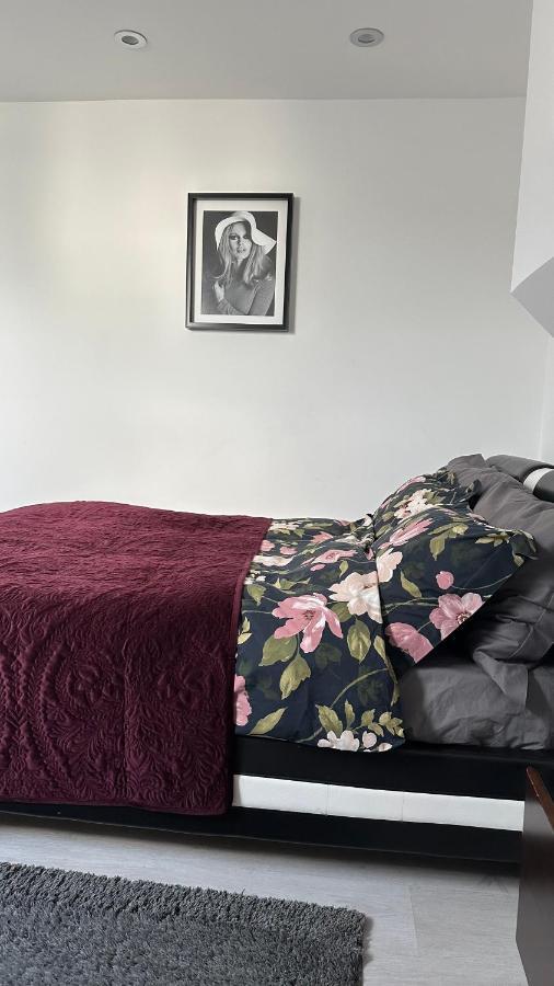 Stunning New 1 Bedroom Apartamento