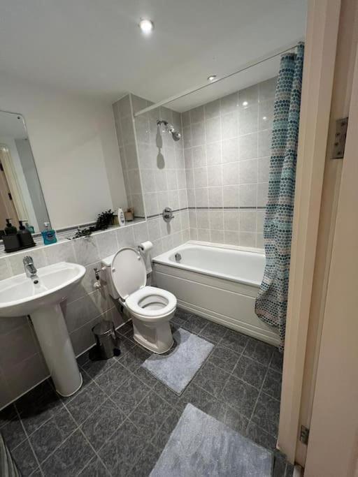 Appartement One Double Bedroom On Chelsea Bridge! Londres