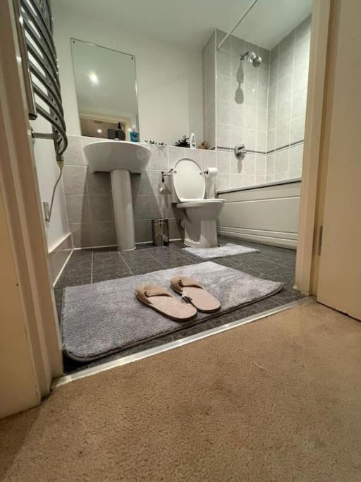 One Double Bedroom On Chelsea Bridge! Londres