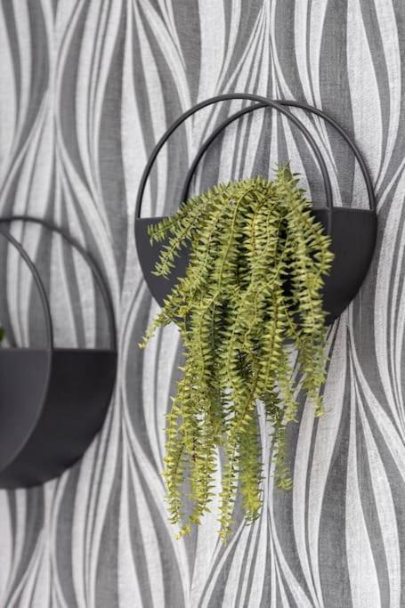 Apartment Cozy Nook: Stylish Studio, Walk To Park & Shop *