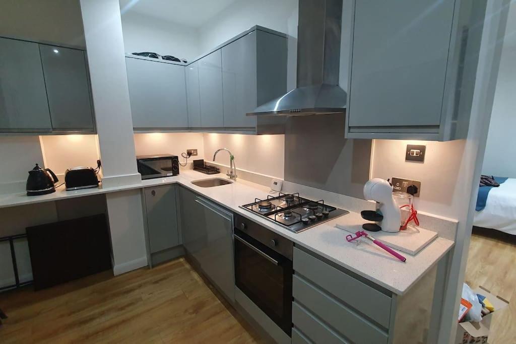 Cosy Alexandra Palace Haringey, Apartamento