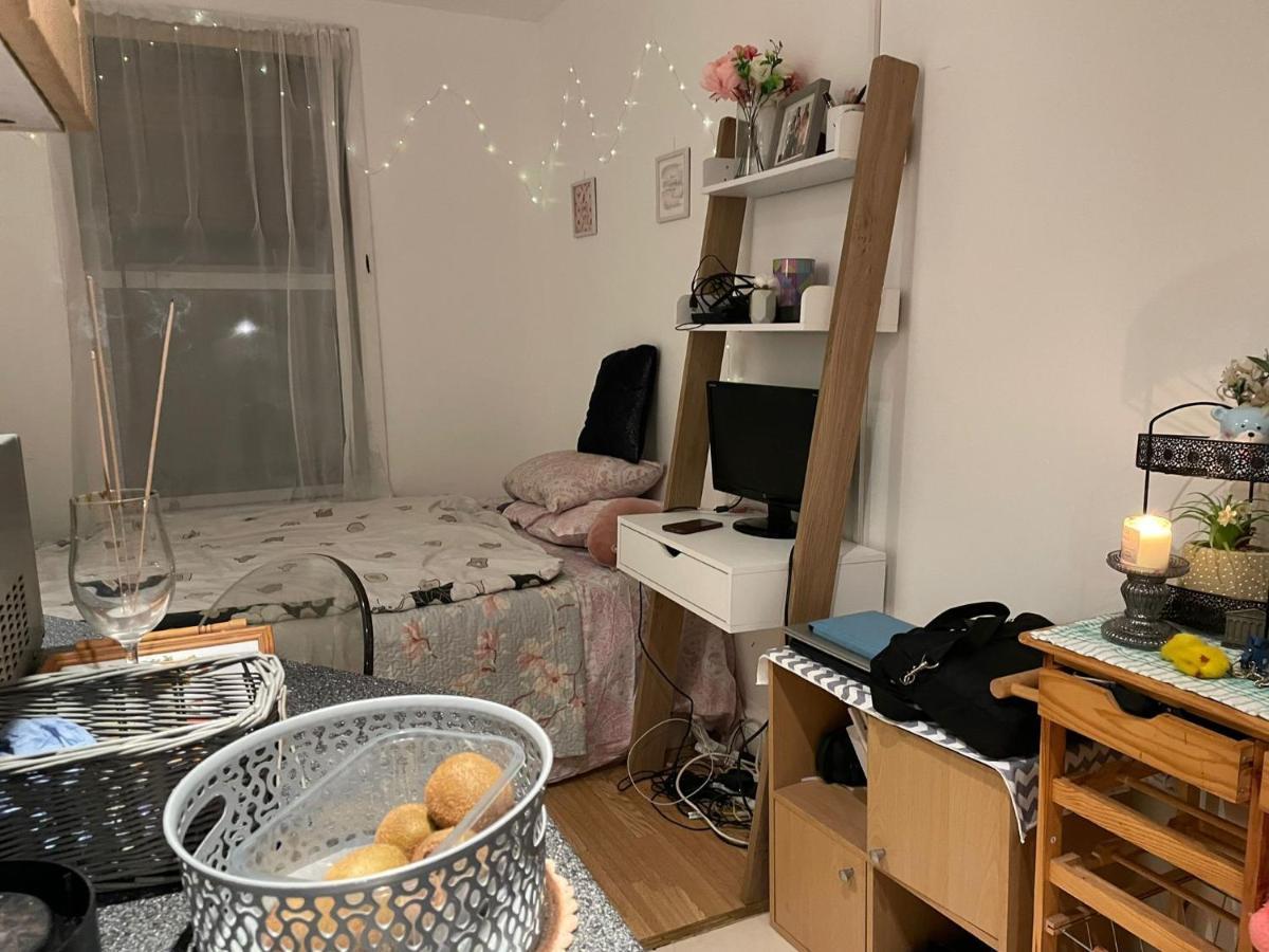 Studio Flat In Stratford * Londres