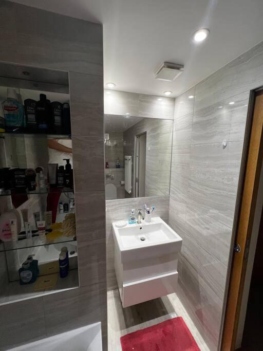 Appartement Stylish One Bedroom Flat Furnished