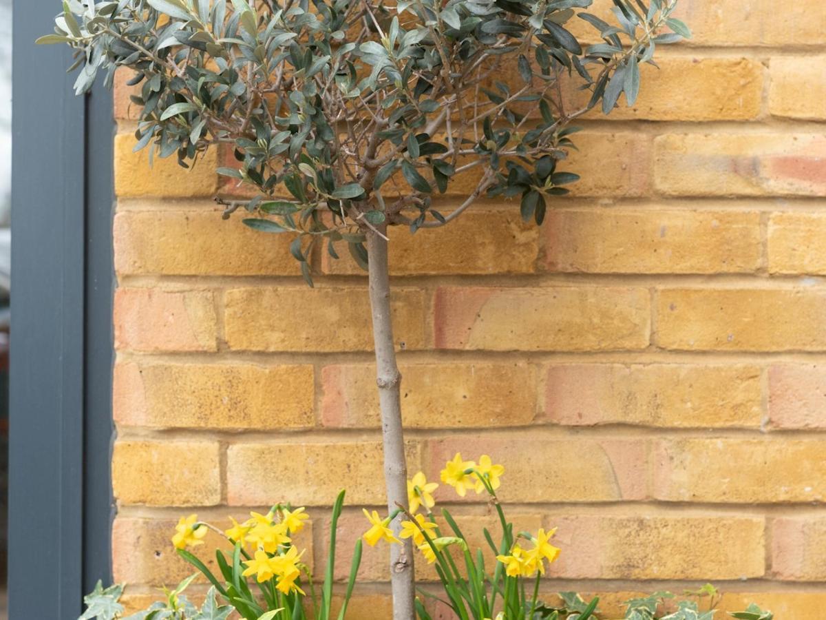 Chic & Cozy Flat In Sw London, Perfect Location! Apartamento *