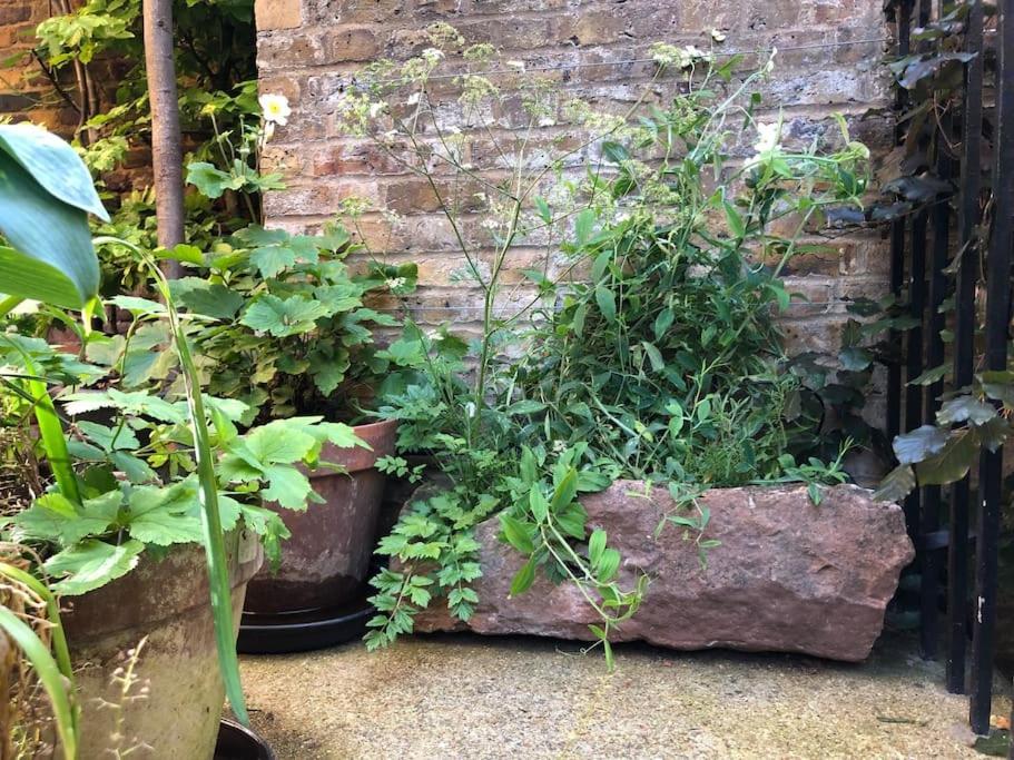 Hébergement de vacances Kings Cross, Self-contained House & Private Garden Londres