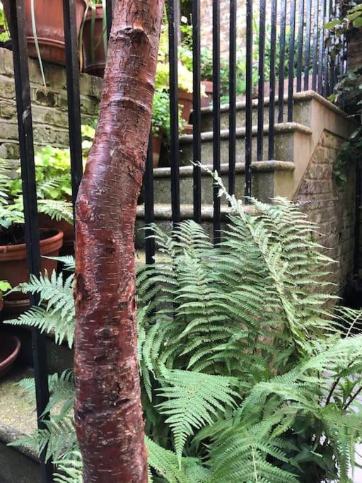 Kings Cross, Self-contained House & Private Garden Londres