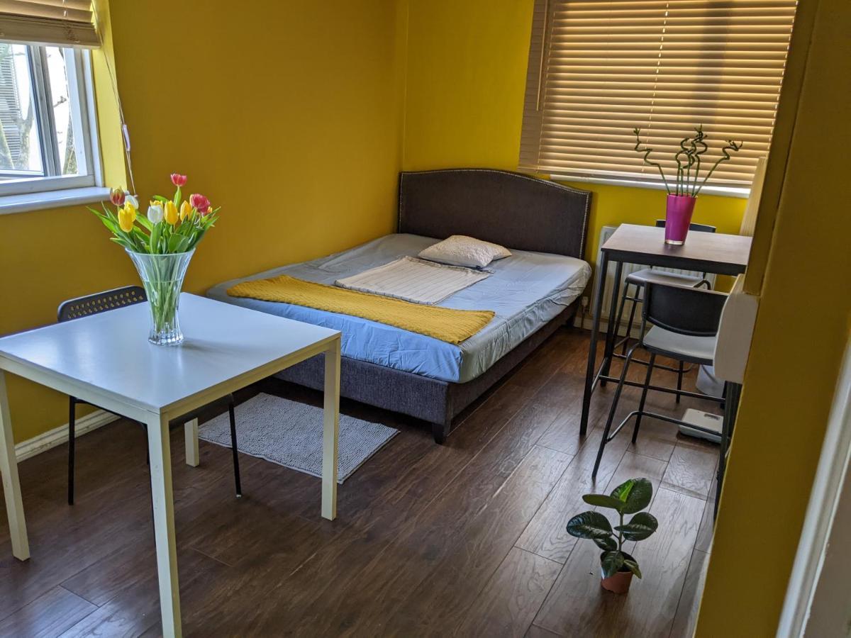 Séjour chez l'habitant Creatives' House