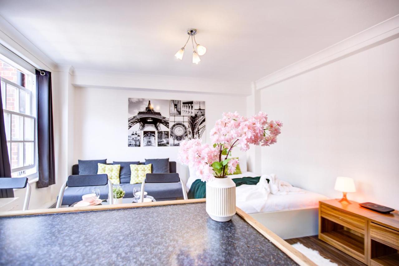 Cozy Studio In Central Apartment London