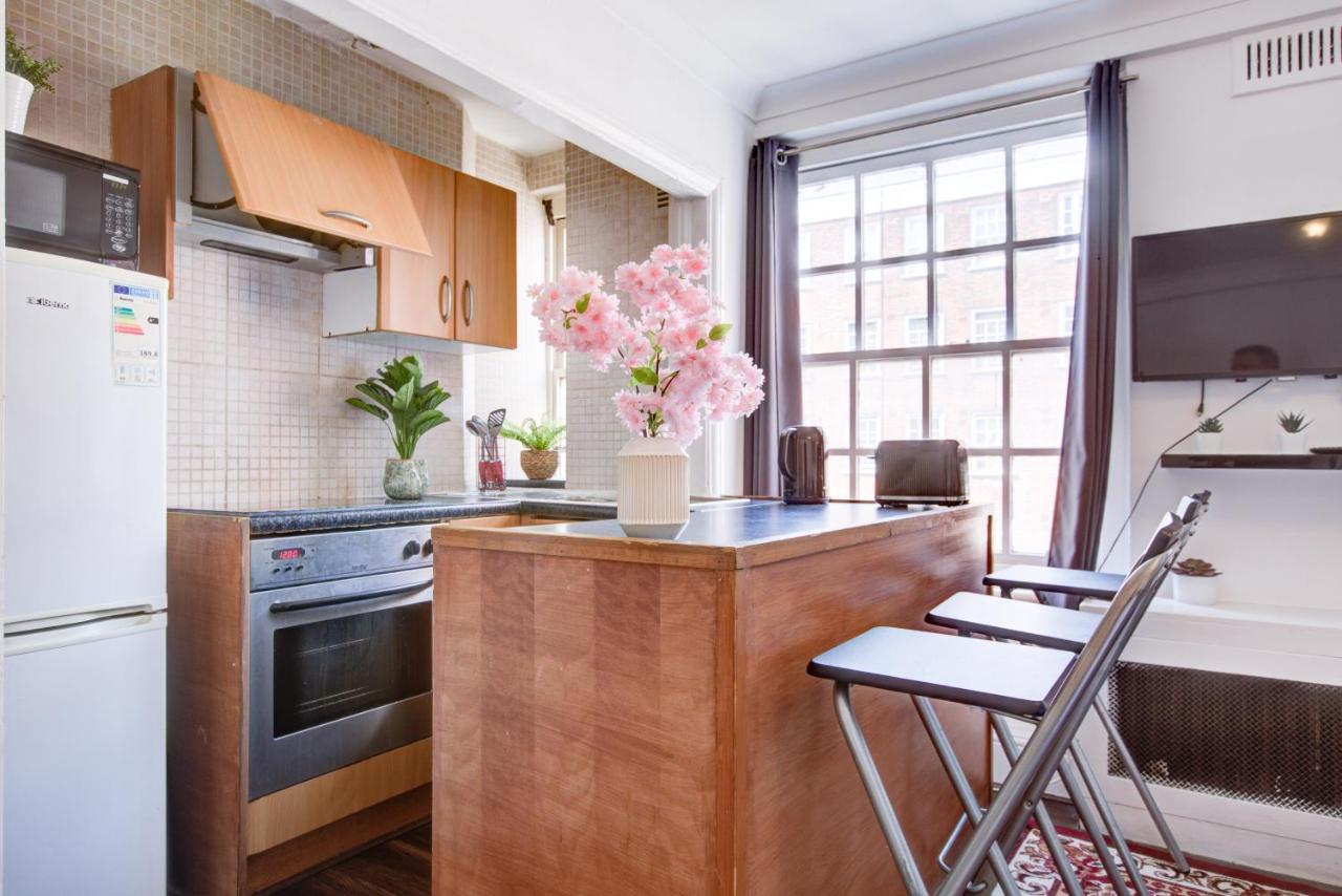 Cozy Studio In Central Apartment London
