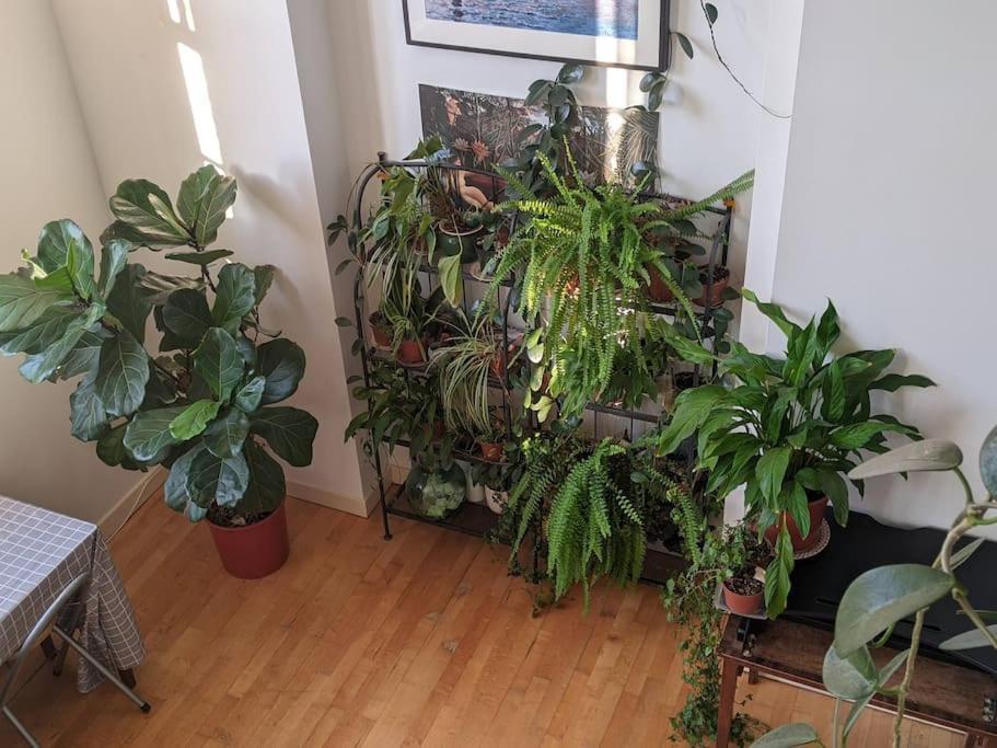 Spacious, Historic Schoolhouse Appartement
