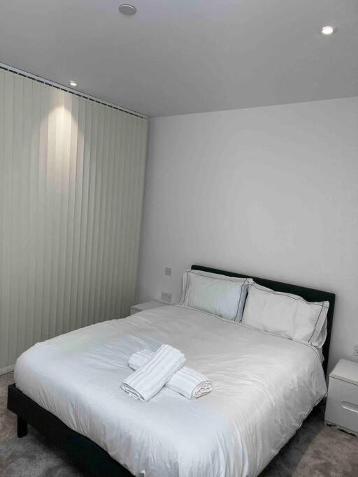 Royal Dock Luxury Apartment *