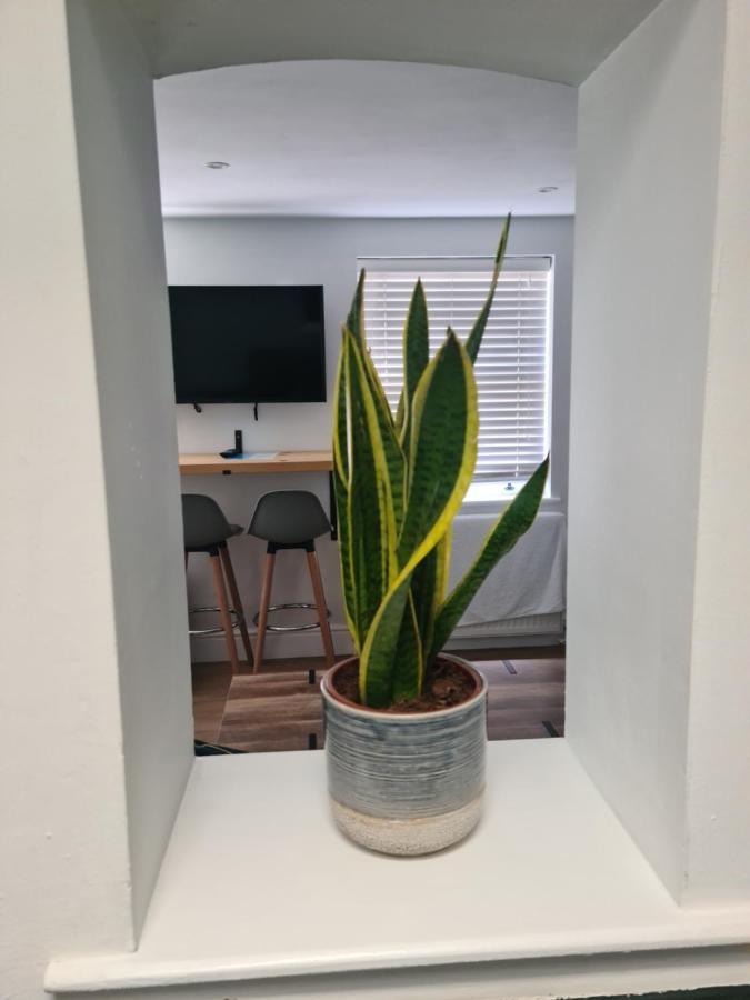 Avondale B Apartment