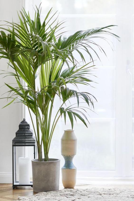 Appartement Beautiful And Charming Near Boxpark Londen