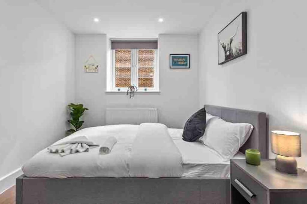 Cozy Flat Near Eye/ Victoria / Vauxhall * Londres