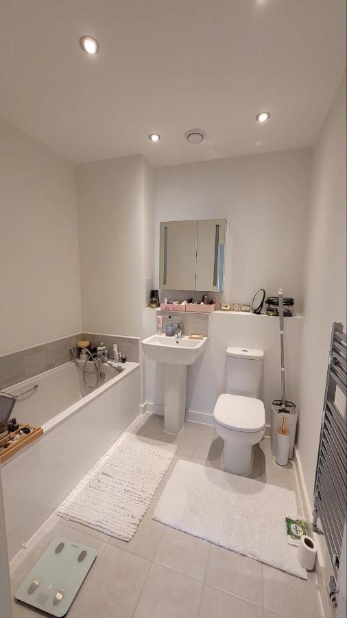 Sunny Luxury Skyline Flat Near Alexandra Palace, Tottenham Stadium & Drumsheds *