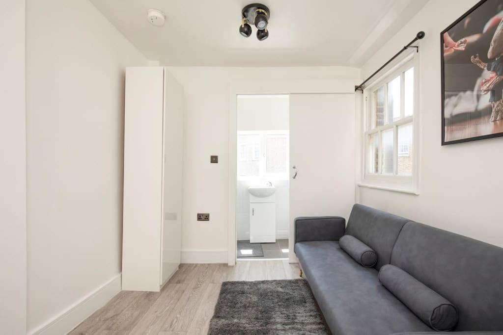 Spacious Serenity In The Heart Of Apartment London