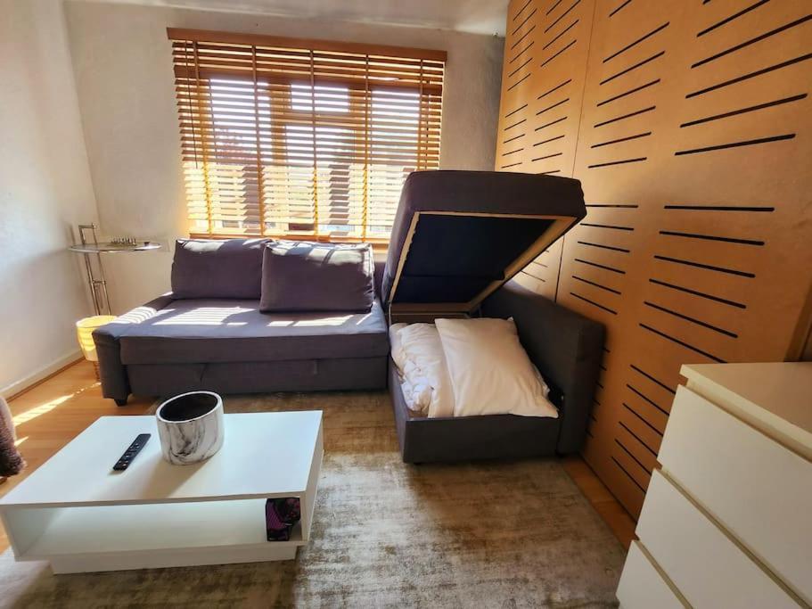 Spare In Peaceful Neighbourhood Near The Centre Of Appartement *