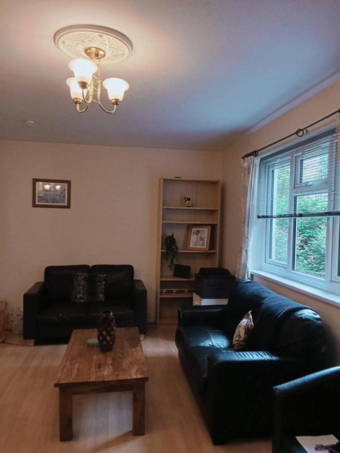 Homely 3 Bedroom House With A Garden Hébergement de vacances Londres