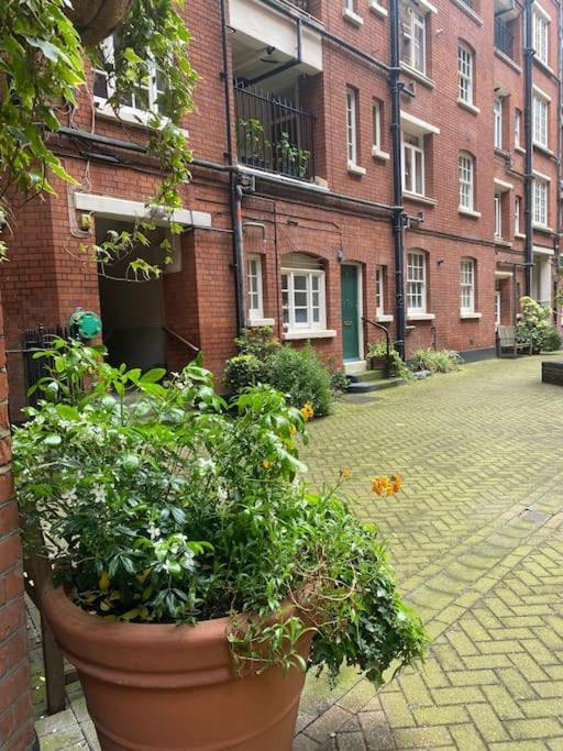 Apartment Central Chic Oasis ~ King's Cross