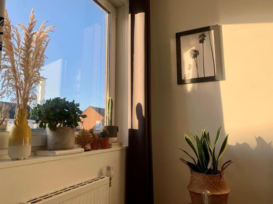Apartamento Lovely 1 Bedroom Flat In Zone 1/2