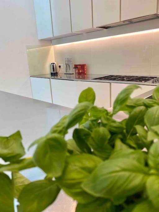 Casa de Férias Stunning 4 Bed Mews House With Patio