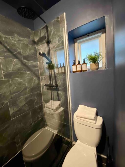 Apartment Stylish For 3 Near Regents Park N4 London