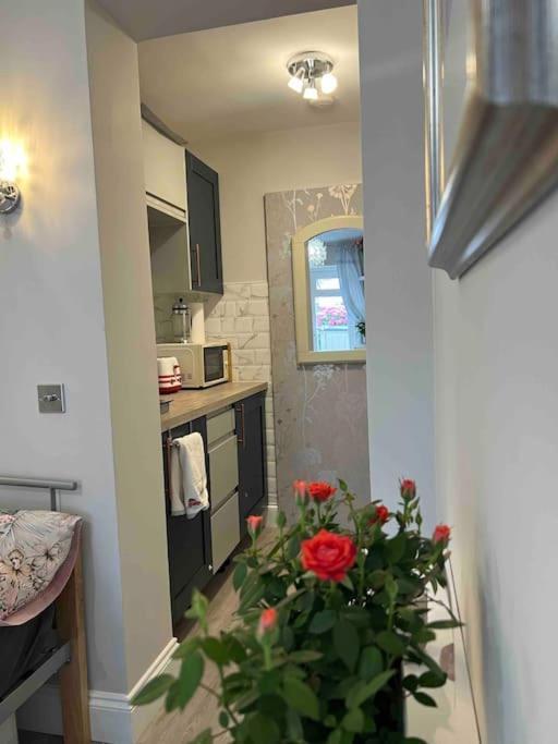 Cozy+elegant Studio@ West Apartamento