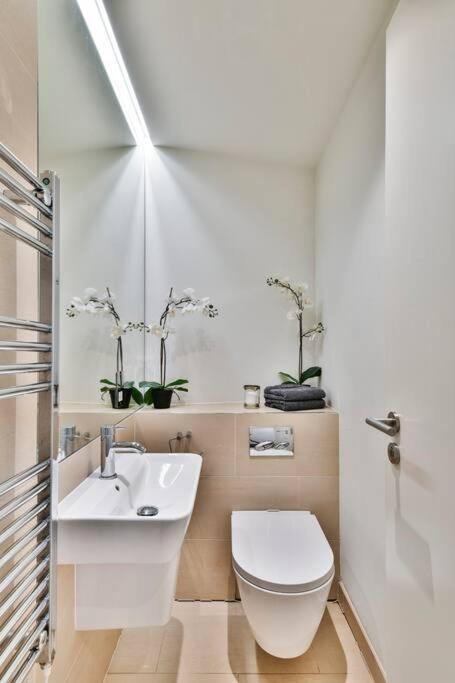 Knightsbridge/chelsea Penthouse Apartamento