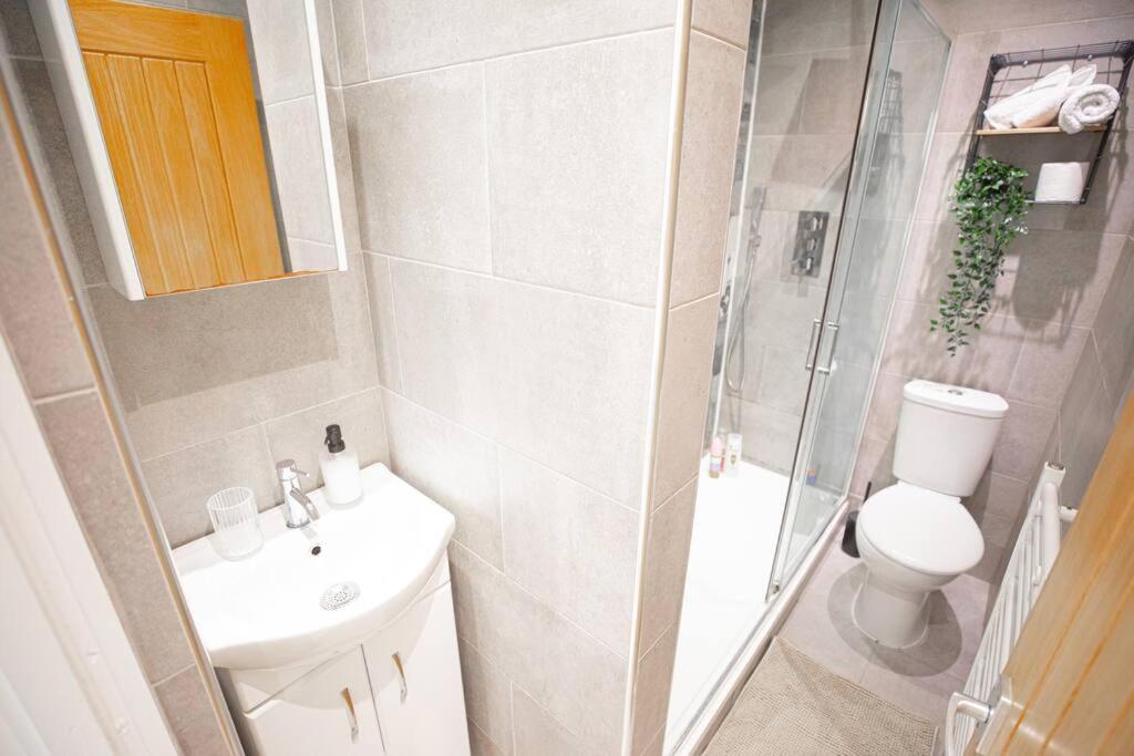 Hammersmith Apollo 1 Bedroom Apartamento Londres