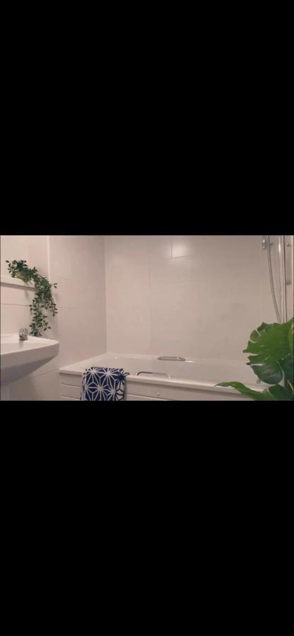Great Private With Shared Bathroom -sleeps 2 -westminster Quick Links Auberge de jeunesse Londres