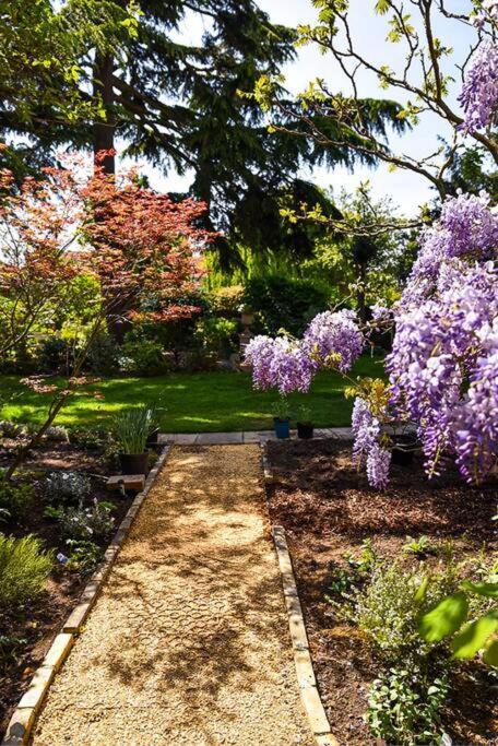 Spacious 2 Bed Garden Flat By The Thames+parking Appartement