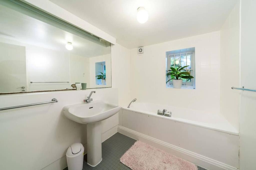 Spacious 2 Bed Garden Flat By The Thames+parking Appartement *