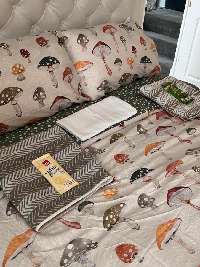 Bed and breakfast From Cosy Londres