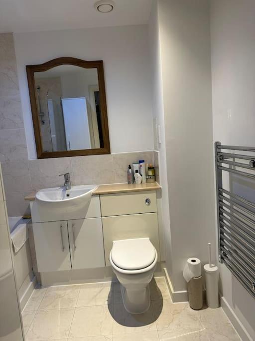 Bright And Spacious Flat In Wimbledon, Apartamento Londres