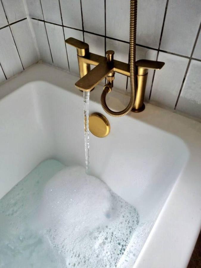Spacious & Renovated 1-bed Garden Flat In Appartement