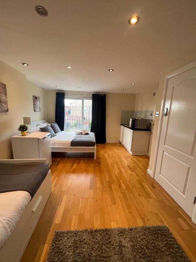 Stunning House 15 Min From Wembley Arena