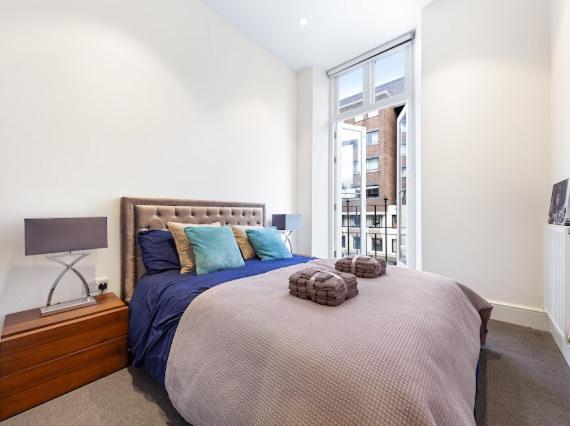 Harley Street Luxury Snug Appartement Londres
