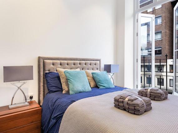 Harley Street Luxury Snug Londres