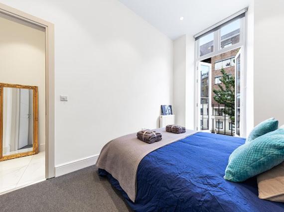 Appartement Harley Street Luxury Snug Londres