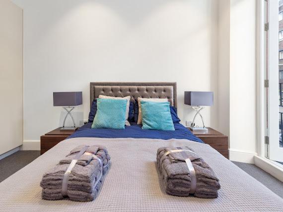 Harley Street Luxury Snug Appartement *