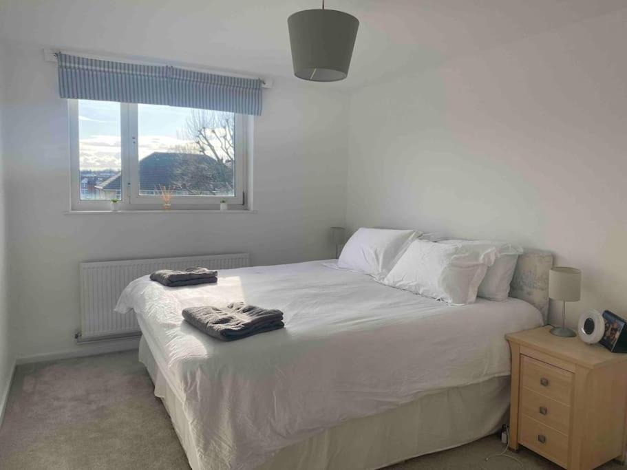 Appartement Cosy Flat In The Heart Of Wandsworth Londen