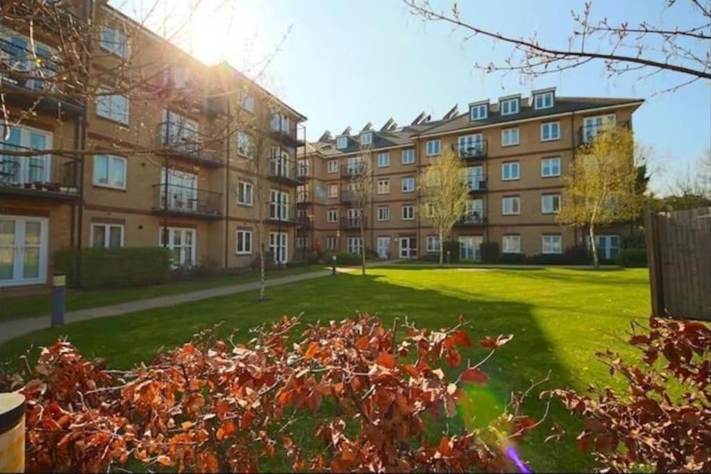 Elegant, Spacious 2bed In Crystal Palace, Londen