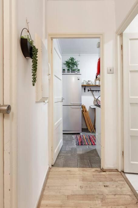 Otto Angel Apartamento Londres