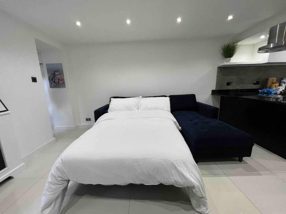 Stylish Maida Vale Modern *
