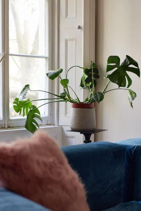Germaine Greer's Legacy Flat In Hyde Park, *