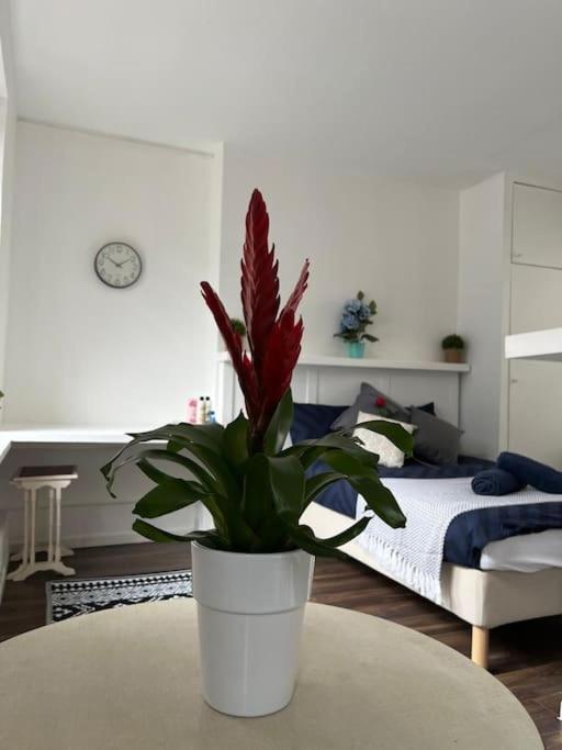 Glasshouse Yard Studio's F1 Apartamento