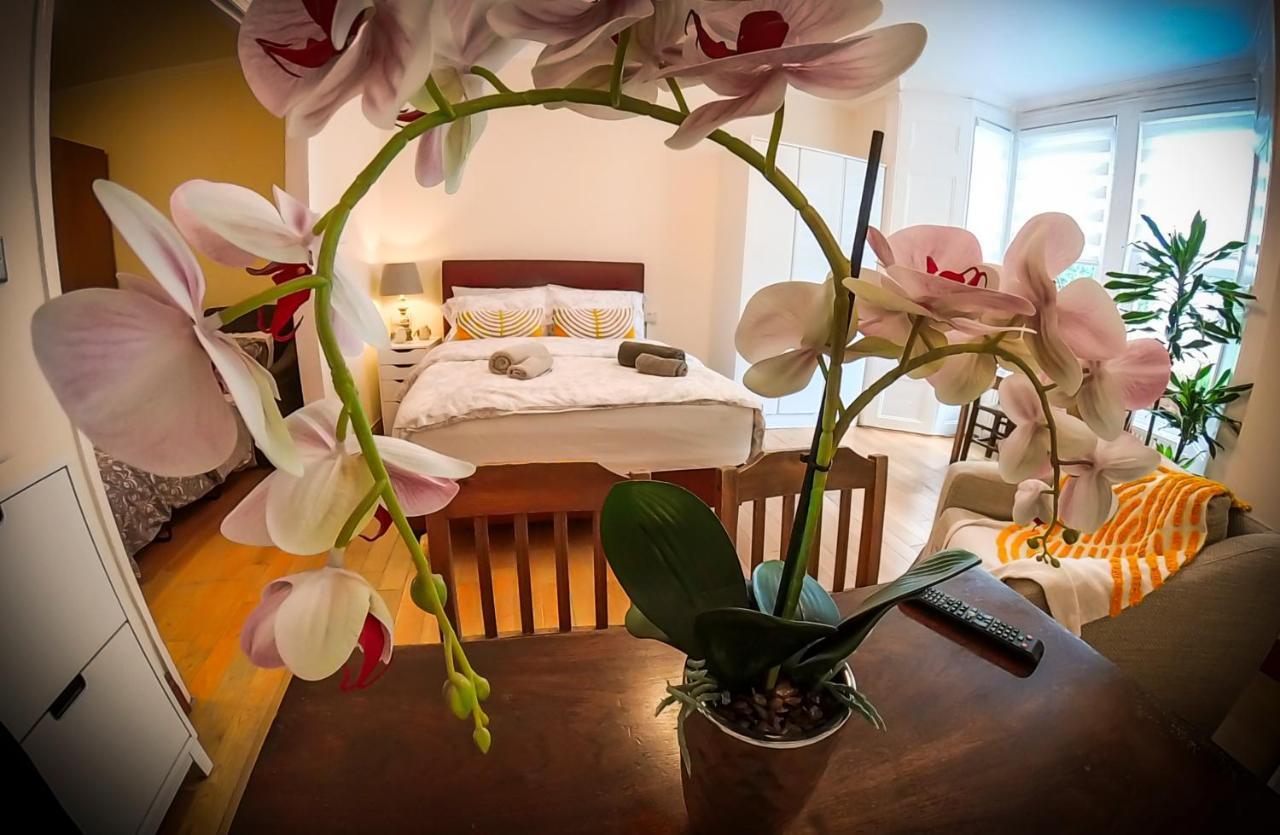 Lovely&bright Flat Close To