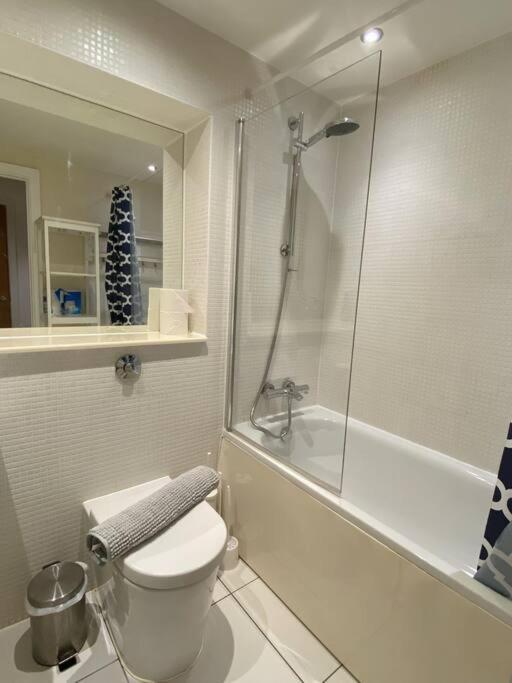 1 Bed 1 Bath Modern Zone 2 * Londres