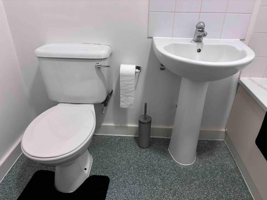 Cosy Spacious Studio Flat Stratford / Bow