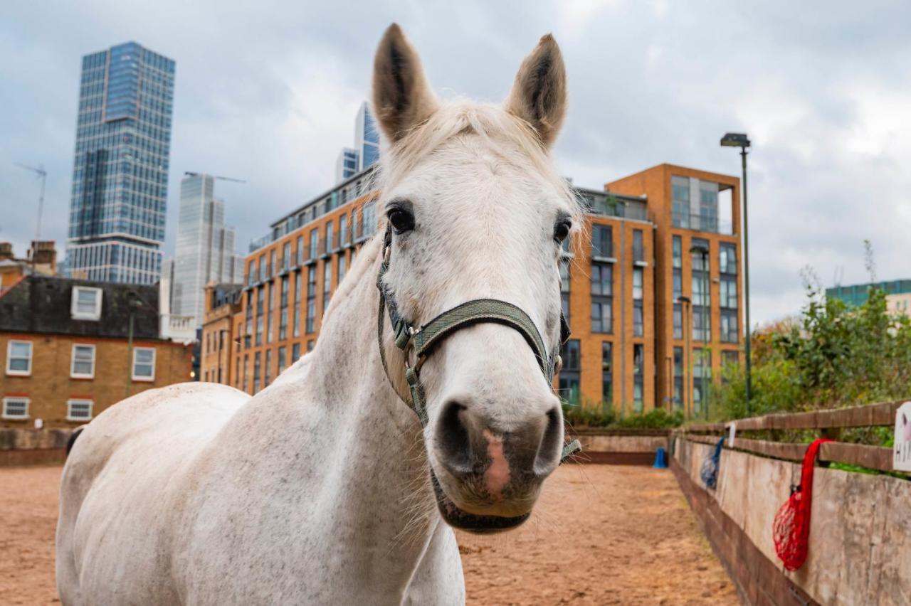 Appartement Farm View 2-bedroom Apartment, Vauxhall Londres